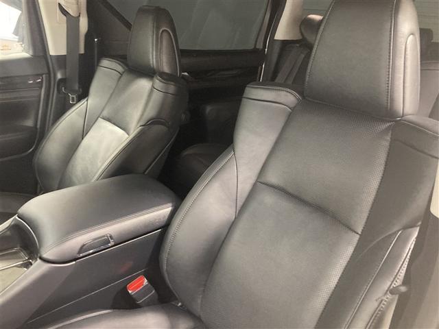 ���������̕����̂悤�ɂ��낰��L�X�Ƃ�����ԁB����S�n�̂����V�[�g�ŁA�����O�h���C�u�����m�炸�ł���