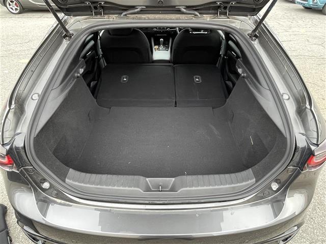 ＭＡＺＤＡ３ファストバック １５Ｓ　ブラックトーンエディション　ワンオーナー／４ＷＤ／フルセグ／全周囲カメラ／パーキングセンサー／車線逸脱警報／ブラインドスポットモニター／レーンキープアシスト／プリクラッシュブレーキ／クルーズコントロール／冬タイヤ積込（ＶＲＸ３）（24枚目）