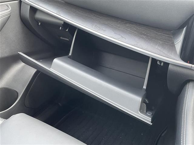 エクストレイル G e-4ORCE(34枚目)