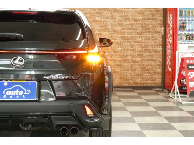 ＵＸ ＵＸ２５０ｈ　Ｆスポーツ　レクサスセーフティ　ＴＲＤエアロ　ＴＲＤマフラー　１２．３インチディスプレイ　レクサスナビ／フルセグＴＶ／全方位モニター　レクサスクライメイトコンシェルジュ　ムーンルーフ　修復歴無　ワンオーナー禁煙車（63枚目）