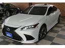 ES300h Fスポーツ レクサスセーフティ レクサスナビ/フルセグTV/Bカメラ TRDエアロ TRD4本出しスポーツマフラー 黒革シートベンチレーション ムーンルーフ 前後ドラレコ 修復歴無し ワンオーナー禁煙車(69枚目)