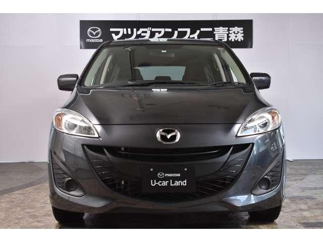20C 4WD 両側電動スライドドア メモリーナビ フルセグ(20枚目)