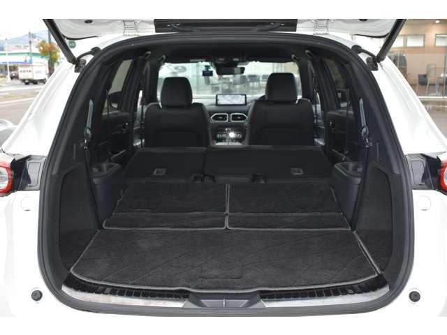 ＣＸ－８ ２５Ｓ　Ｂｌａｃｋ　Ｔｏｎｅ　Ｅｄｉｔｉｏｎ　ルーフレール　ルーフレール＆サイドガーニッシュ　１０．２５　ＥＴＣ付き　ＡＷＤ　Ｂカメラ　パノラマカメラ　アダプティブクルーズ　フルセグテレビ　盗難防止装置　ＷＡＣ　ＬＥＤヘッドライト　アルミホイール　記録簿（16枚目）