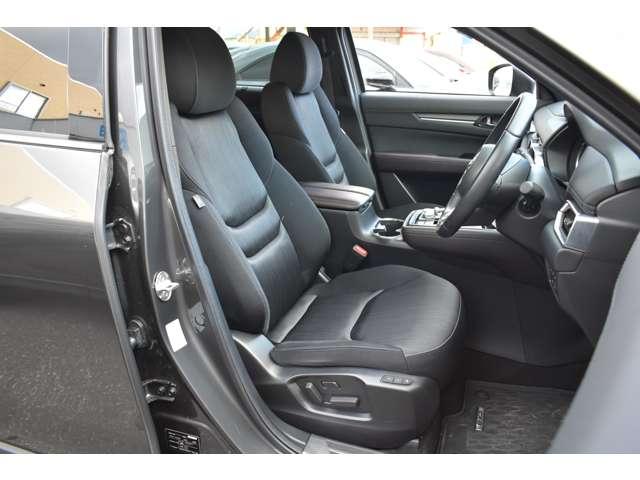 ＣＸ－８ ＸＤ　ＰＲＯＡＣＴＩＶＥ　７人乗り　パワーリフトゲート　ルーフレール＆パワーリフトゲート　リアエアコン　アドバンストキー　横滑り防止機能　ＵＳＢポート　電動Ｒゲート　地デジ　アイスト　ＥＴＣ車載器　ＤＶＤ再生可　エアコン　４ＷＤ　パワーシート　サイドカメラ（13枚目）