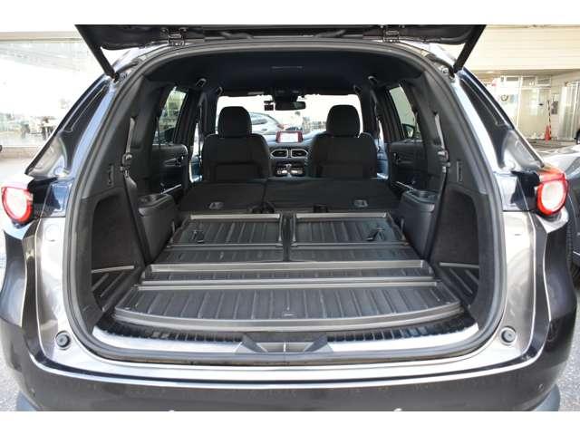 ＣＸ－８ ＸＤ　ＰＲＯＡＣＴＩＶＥ　７人乗り　パワーリフトゲート　ルーフレール＆パワーリフトゲート　リアエアコン　アドバンストキー　横滑り防止機能　ＵＳＢポート　電動Ｒゲート　地デジ　アイスト　ＥＴＣ車載器　ＤＶＤ再生可　エアコン　４ＷＤ　パワーシート　サイドカメラ（16枚目）