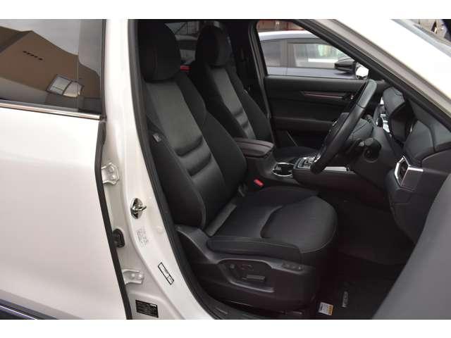 ＣＸ－８ ＸＤ　ＰＲＯＡＣＴＩＶＥ　６人乗り　ＣＤ／ＤＶＤ再生＋地デジ　ウォークスルー６人乗り・ＣＤ／ＤＶＤプレーヤー＋　リアエアコン　アドバンストキー　横滑り防止機能　ＵＳＢポート　電動Ｒゲート　地デジ　アイスト　ＤＶＤ再生可　エアコン　４ＷＤ　パワーシート　三列シート（10枚目）