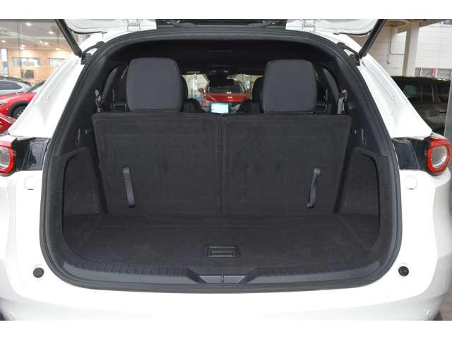 ＣＸ－８ ＸＤ　ＰＲＯＡＣＴＩＶＥ　６人乗り　ＣＤ／ＤＶＤ再生＋地デジ　ウォークスルー６人乗り・ＣＤ／ＤＶＤプレーヤー＋　リアエアコン　アドバンストキー　横滑り防止機能　ＵＳＢポート　電動Ｒゲート　地デジ　アイスト　ＤＶＤ再生可　エアコン　４ＷＤ　パワーシート　三列シート（13枚目）