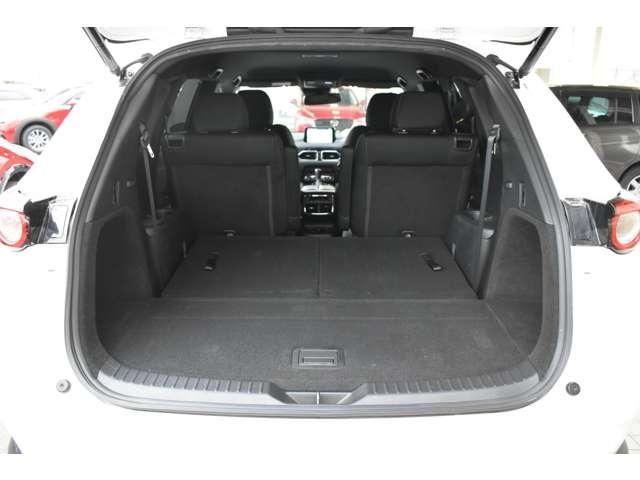 ＣＸ－８ ＸＤ　ＰＲＯＡＣＴＩＶＥ　６人乗り　ＣＤ／ＤＶＤ再生＋地デジ　ウォークスルー６人乗り・ＣＤ／ＤＶＤプレーヤー＋　リアエアコン　アドバンストキー　横滑り防止機能　ＵＳＢポート　電動Ｒゲート　地デジ　アイスト　ＤＶＤ再生可　エアコン　４ＷＤ　パワーシート　三列シート（14枚目）