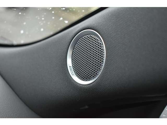 ���[�J�[�I�v�V�����Ń{�[�Y�T�E���h�V�X�e���t���ł��B