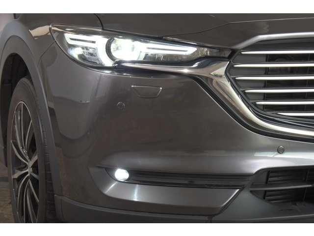 �����ŏƎ˔͈͂�ݒ�E�ؑւ��s�Ȃ��A�_�v�e�B�u�k�d�c�w�b�h���C�g�A�t�H�O�����v���k�d�c�ł��B