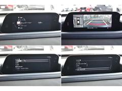 ãءݣ أġץƥ֡ġ󥰥쥯󡡥ǥ 0902810A20251117Z004 6