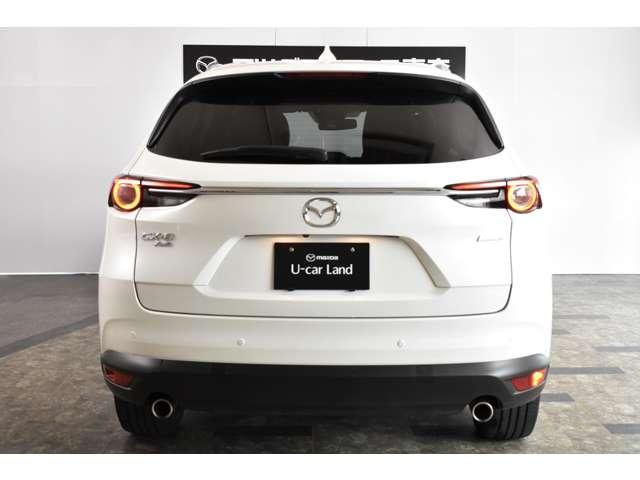 2.2 XD Lパッケージ ディーゼルターボ 4WD(19枚目)