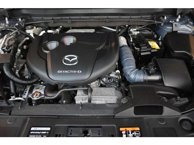 ＣＸ－５ ＸＤ　ＢＬＡＣＫ　ＴＯＮＥ　ＥＤＩＴＩＯＮ　地デジ　特別仕様車ブラックトーンエディション　ＬＥＤライト　アドバンスドキー　クリアランスソナー　ＥＴＣ　運転席パワーシート　前席シートヒーター　ＡＷＤ　ターボ　ＤＳＣ　ナビＴＶ　バックカメラ　盗難防止装置（19枚目）