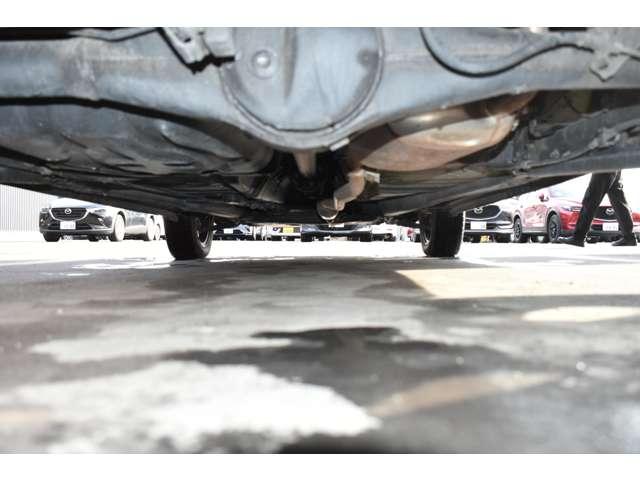 �����ɑ傫�ȃ_���[�W�͖��������ł��B�h�K�h���m�b�N�X�h�[�����{�H����Ă��܂��B