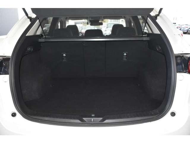 ���s���A�����Ƃ��ɕ��i�g���ɂ͏\���ȍL���ł��B