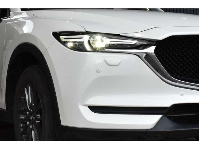 �����ŏƎ˔͈͂�ݒ�E�ؑւ��s�Ȃ��A�_�v�e�B�u�k�d�c�w�b�h���C�g�ł��B