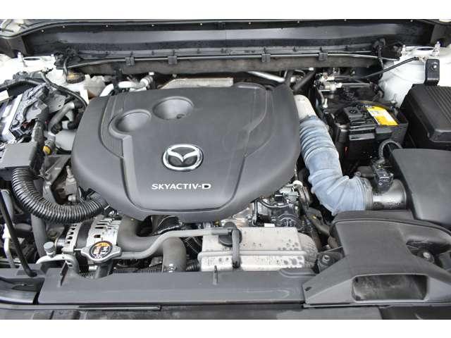 �}�c�_�̃v���̐����m���������萮�������{���܂��B�p�b�N���������e�ɂ��������������[�Ԍ�̃����e�i���X�����C�����������B