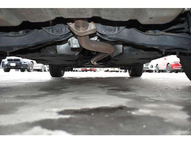 �����ɑ傫�ȃ_���[�W�͖��������ł��B�h�K�h���m�b�N�X�h�[�����{�H����Ă��܂��B