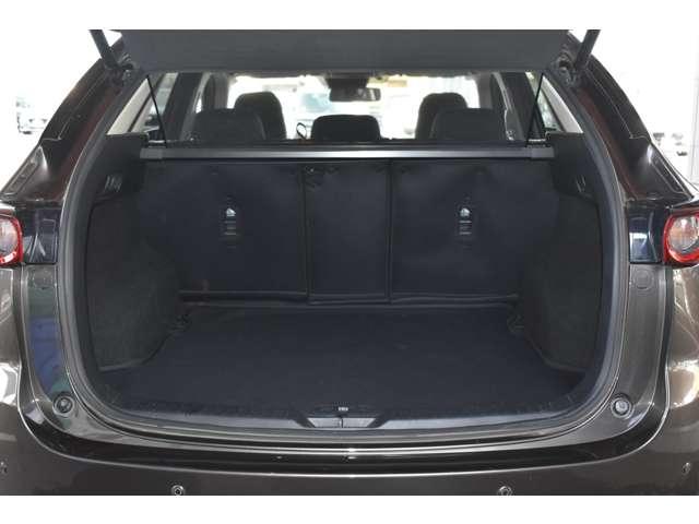 ���s���A�����Ƃ��ɕ��i�g���ɂ͏\���ȍL���ł��B