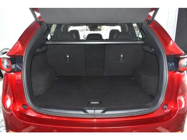 ���s���A�����Ƃ��ɕ��i�g���ɂ͏\���ȍL���ł��B