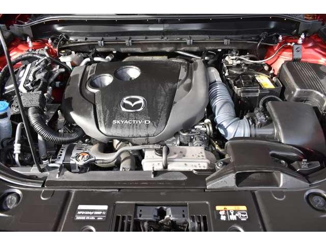 �}�c�_�̃v���̐����m���������萮�������{���܂��B�p�b�N���������e�ɂ��������������[�Ԍ�̃����e�i���X�����C�����������B