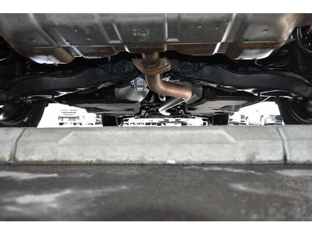 �����ɑ傫�ȃ_���[�W�͖��������ł��B�h�K�h���m�b�N�X�h�[�����{�H����Ă��܂��B