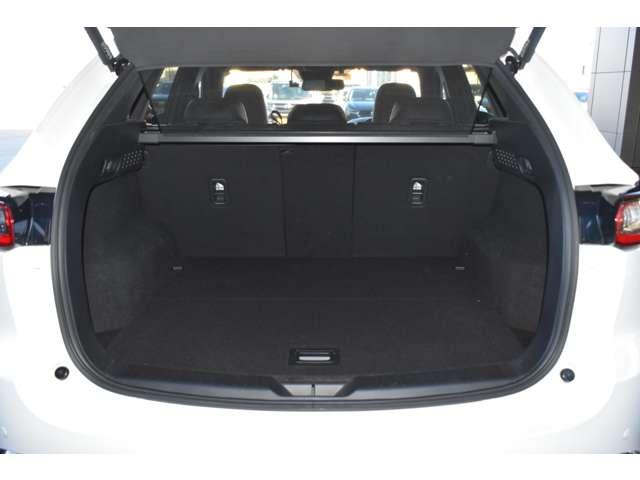 ���s���A�����Ƃ��ɕ��i�g���ɂ͏\���ȍL���ł��B