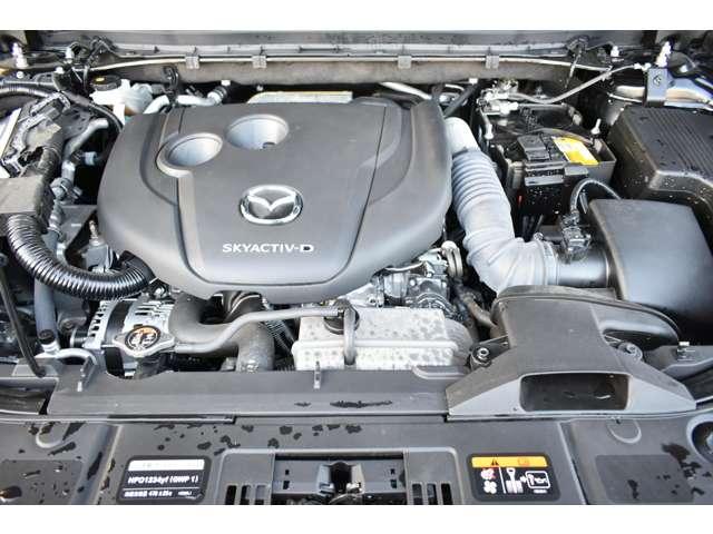 �}�c�_�̃v���̐����m���������萮�������{���܂��B�p�b�N���������e�ɂ��������������[�Ԍ�̃����e�i���X�����C�����������B