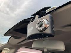 ǥꥫġ ϥ֥åɣͣڡ̥ѥåףġʥӡ̥˥ 0902817A30250922W004 4