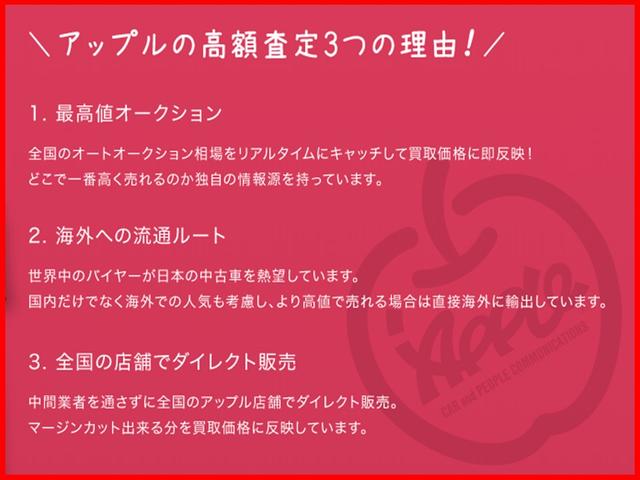 GTリミテッド リアスポイラー 純正アルミホイール 社外ナビ フルセグTV Bカメラ 赤黒ハーフレザーシート(77枚目)