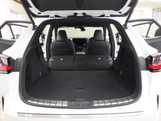 ＮＸ ＮＸ３５０ｈ　Ｆスポーツ　４ＷＤ　レクサスセーフティシステム＋　ＴＲＤフルエアロ　純正ナビフルセグ　パノラミックビューモニター　ビルトインＥＴＣ２．０　デジタルインナーミラー　黒革シート　Ｒパワーゲート　ワンオーナー　禁煙車（22枚目）