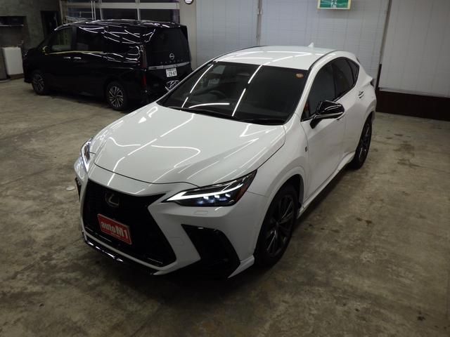 ＮＸ ＮＸ３５０ｈ　Ｆスポーツ　４ＷＤ　レクサスセーフティシステム＋　ＴＲＤフルエアロ　純正ナビフルセグ　パノラミックビューモニター　ビルトインＥＴＣ２．０　デジタルインナーミラー　黒革シート　Ｒパワーゲート　ワンオーナー　禁煙車（62枚目）