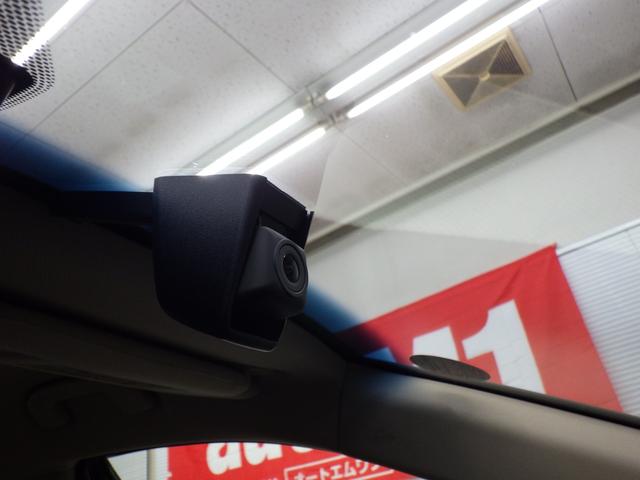 ���̃N���}�������ł��C�ɂȂ������͐���A���₢���킹���I�I