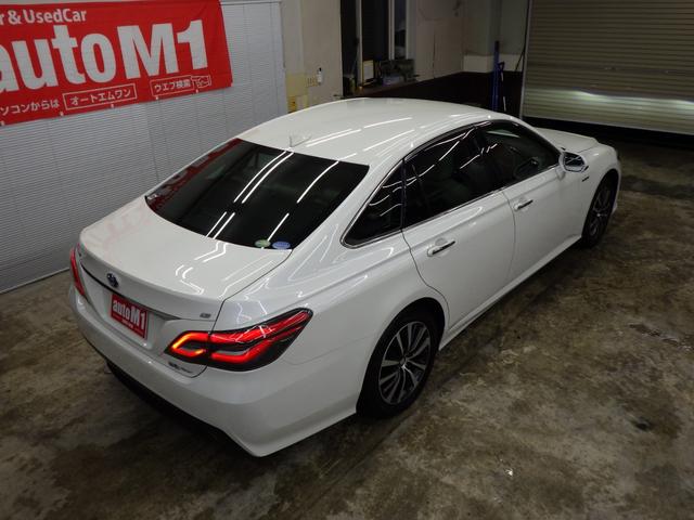 ���̃N���}�������ł��C�ɂȂ������͐���A���₢���킹���I�I