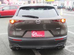 ãءݣ ӡ̥ѥåȥե륨̥顡졼롼 0903083A30251121W002 7