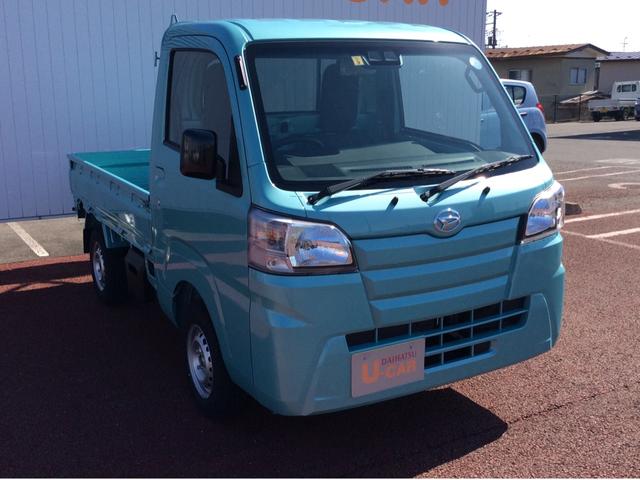 スタンダードSAIIIt(6枚目)
