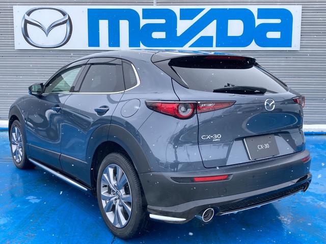 ＣＸ－３０ ２０Ｓ　プロアクティブ　ツーリングセレクション　４ＷＤ　シグネチャースタイルエアロパーツ　３６０°ビューモニター　メモリー機能付きパワーシート　シートヒーター　ステアリングヒーター　パワーバックドア　ＥＴＣ　Ｂｌｕｅｔｏｏｔｈオーディオ（7枚目）