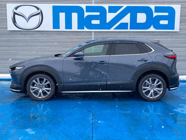 ＣＸ－３０ ２０Ｓ　プロアクティブ　ツーリングセレクション　４ＷＤ　シグネチャースタイルエアロパーツ　３６０°ビューモニター　メモリー機能付きパワーシート　シートヒーター　ステアリングヒーター　パワーバックドア　ＥＴＣ　Ｂｌｕｅｔｏｏｔｈオーディオ（8枚目）