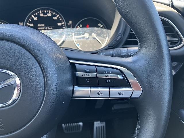 ＣＸ－３０ ２０Ｓ　プロアクティブ　ツーリングセレクション　４ＷＤ　シグネチャースタイルエアロパーツ　３６０°ビューモニター　メモリー機能付きパワーシート　シートヒーター　ステアリングヒーター　パワーバックドア　ＥＴＣ　Ｂｌｕｅｔｏｏｔｈオーディオ（15枚目）