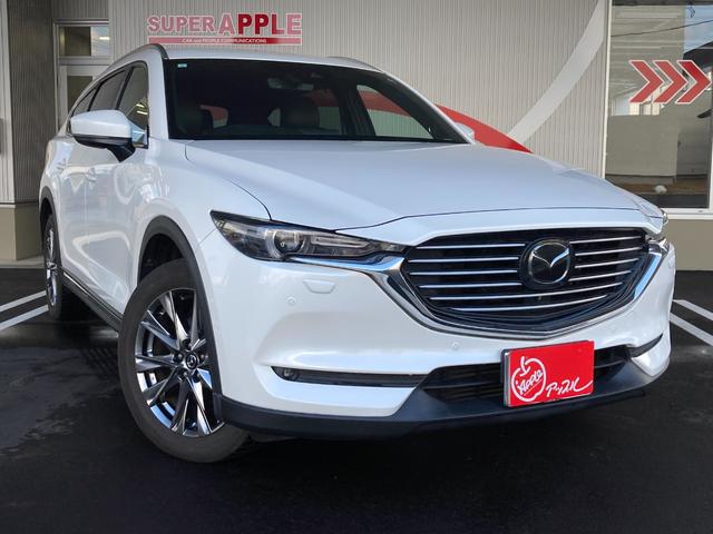 CX-8 XD Lパッケージ 4WD ETC 全周囲カメラ クリアランスソナー オートクルーズコントロール レーンアシスト パワーシート 衝突被害軽減システム LEDヘッドランプ ヘッドライトウォッシャー 電動リアゲート(14枚目)