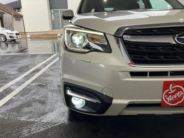 フォレスター X-ブレイク 4WD ETC オートクルーズコントロール レーンアシスト 衝突被害軽減システム ナビ TV オートライト LEDヘッドランプ ヘッドライトウォッシャー アルミホイール スマートキー(24枚目)