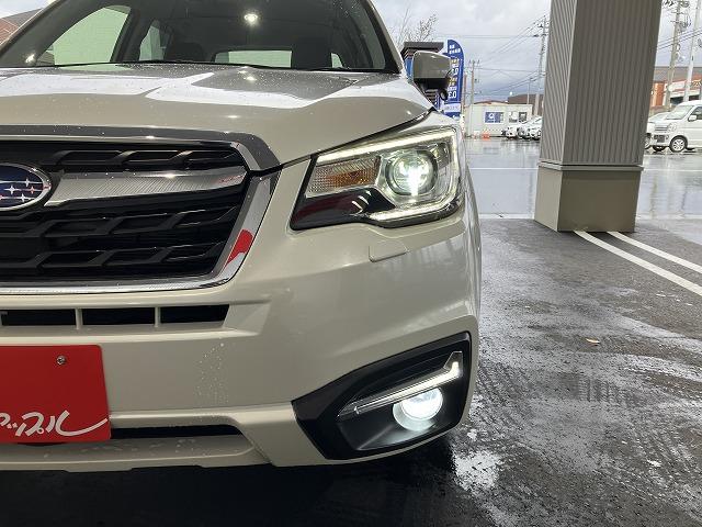 フォレスター X-ブレイク 4WD ETC オートクルーズコントロール レーンアシスト 衝突被害軽減システム ナビ TV オートライト LEDヘッドランプ ヘッドライトウォッシャー アルミホイール スマートキー(25枚目)