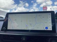 ιԤ쥸㡼ˤ͡ʥǴԤ˱¿ʥդ 3