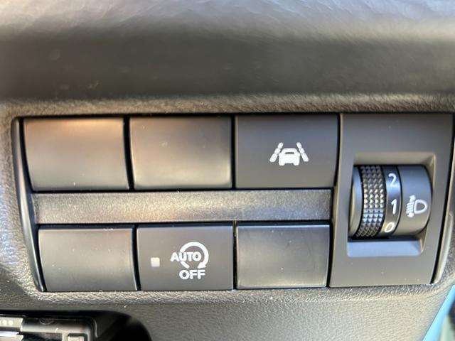 ｅＫワゴン Ｍ　ＬＣＤＮ　ＴＳＲ　ＤＡＡ　ＡＳＣ　ＥＳＳ（20枚目）