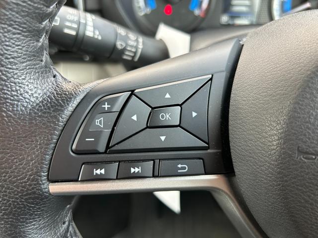 デリカミニ Ｇ　プレミアム　エクステリアＰＫＧ／デカールＰＫＧ／タフネスＰＫＧ／エンブレムセット（14枚目）