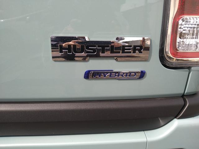 ハスラー ハイブリッドX(10枚目)