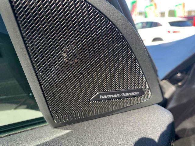 X3 20d xDrive Mスポーツ コンフォートパッケージ ハーマンカードンサラウンド 4WD 全周囲カメラ クリアランスソナー オートクルーズコントロール ナビ TV LEDヘッドランプ シートヒーター&エアシート ステアリングヒーター スマートキー(31枚目)