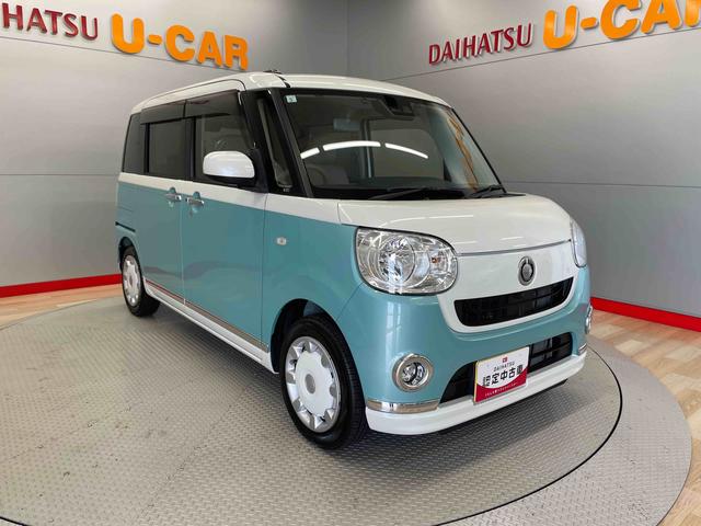 ムーヴキャンバス Ｘメイクアップリミテッド　ＳＡＩＩＩ（6枚目）