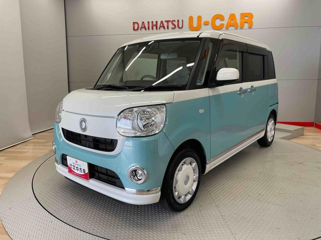 ムーヴキャンバス Ｘメイクアップリミテッド　ＳＡＩＩＩ（7枚目）