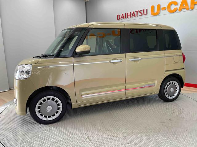 ムーヴキャンバス セオリーＧ（5枚目）